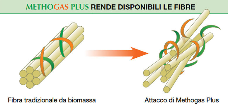 methogas-ita.jpg